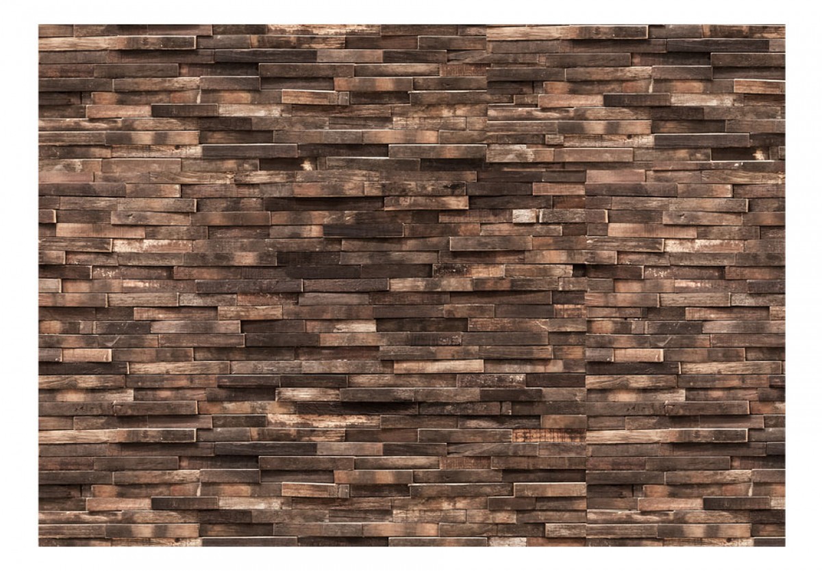 Fototapeta - Dům v lese