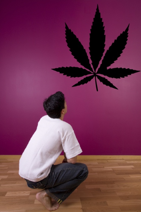 Samolepka na zeď List marihuany