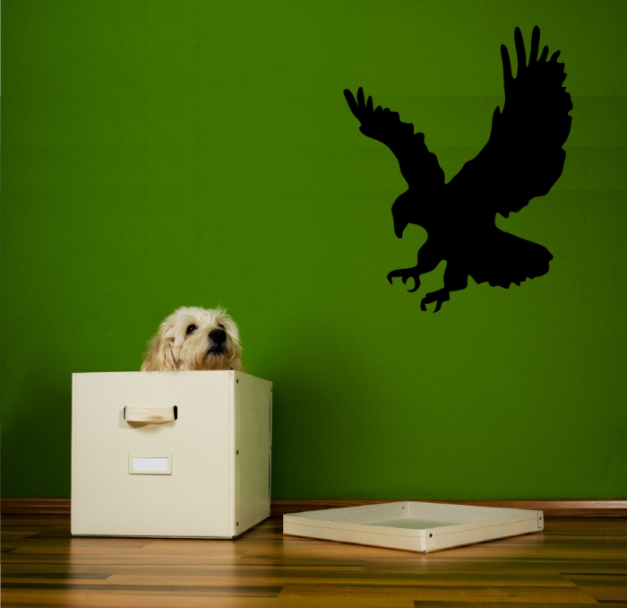 Samolepka na zeď Orel