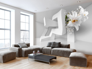 Fototapeta - 3D iluze