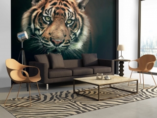 Fototapeta - Tygr bengálský