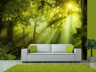 Fototapeta - Tajemství lesa