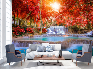 Fototapeta - Kouzlo přírody