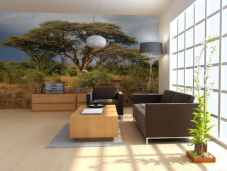 Fototapeta - Strom v Keňi