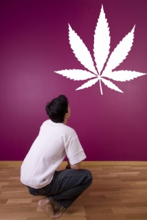 Samolepka na zeď List marihuany